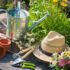 Fünf Tipps für mehr Artenvielfalt im Garten